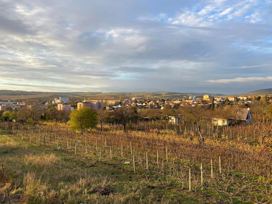 Kyjoff - Domecek S Krasnymi Vyhledy Villa Kyjov  Buitenkant foto