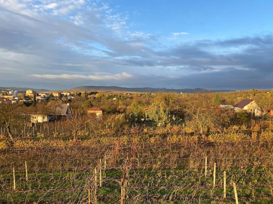 Kyjoff - Domecek S Krasnymi Vyhledy Villa Kyjov  Buitenkant foto